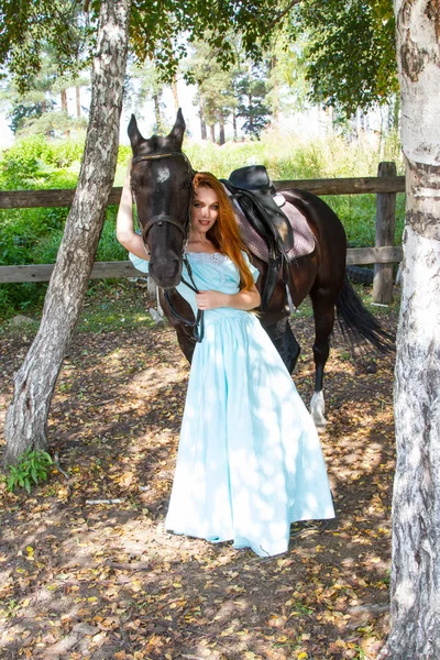 Girl Long Dress Stands Horse Birch Grove — Stock Photo, Image