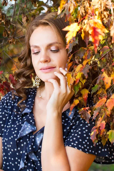 Young Girl Posing Background Picturesque Autumn Forest — Stock Photo, Image