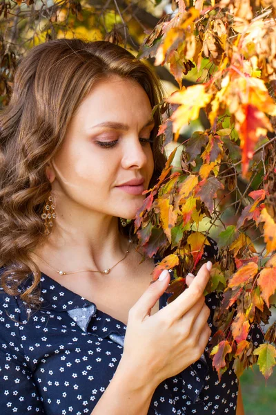 Junges Mädchen Posiert Vor Dem Hintergrund Eines Malerischen Herbstwaldes — Stockfoto