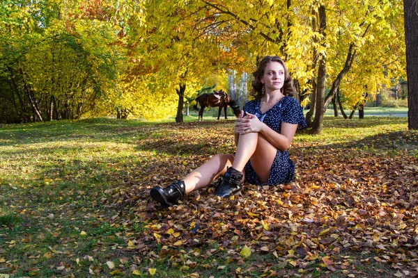 Young Girl Posing Autumn Forest Autumn Portrait — Stock Photo, Image