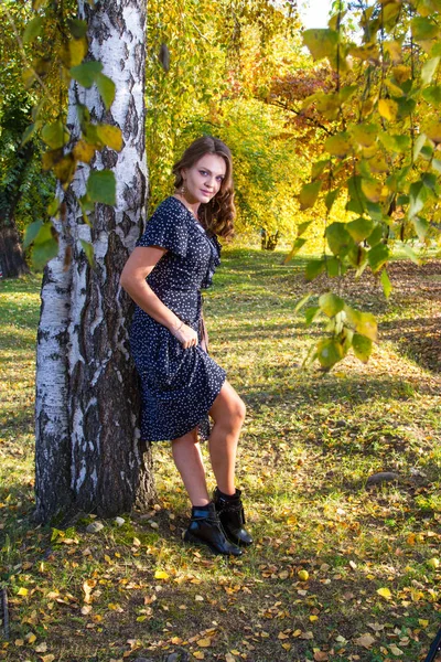 Mädchen Langen Kleid Spaziert Durch Den Herbstpark — Stockfoto