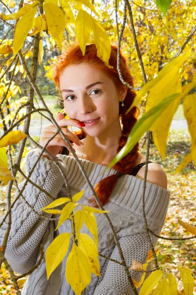 Girl Posing Park Background Autumn Landscapes — Stock Photo, Image