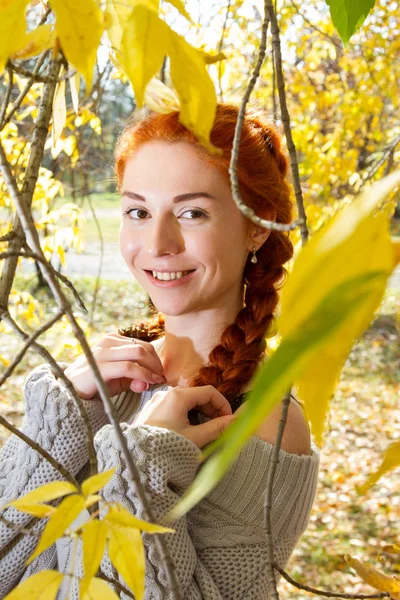 Girl Posing Park Background Autumn Landscapes — Stock Photo, Image