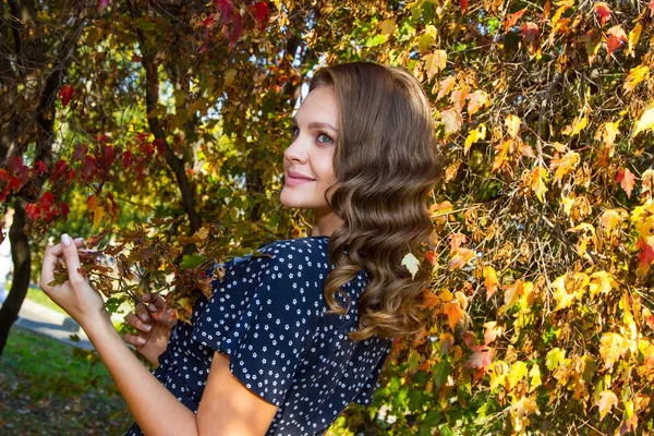 Chica Con Maquillaje Brillante Posando Sobre Fondo Hojas Amarillas Otoño — Foto de Stock