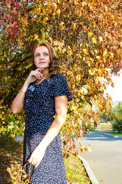 Chica Con Maquillaje Brillante Posando Sobre Fondo Hojas Amarillas Otoño — Foto de Stock