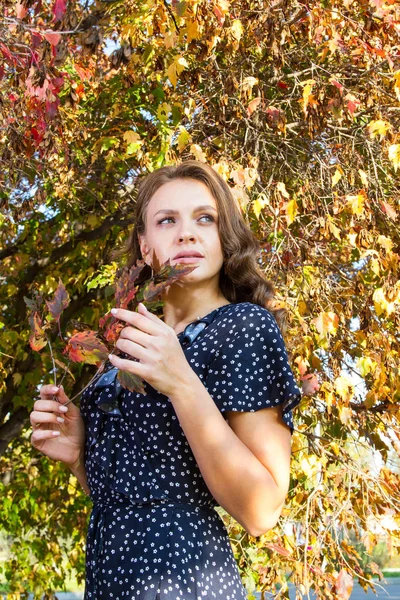 Girl Bright Makeup Posing Background Yellow Autumn Leaves Park — Stock Photo, Image