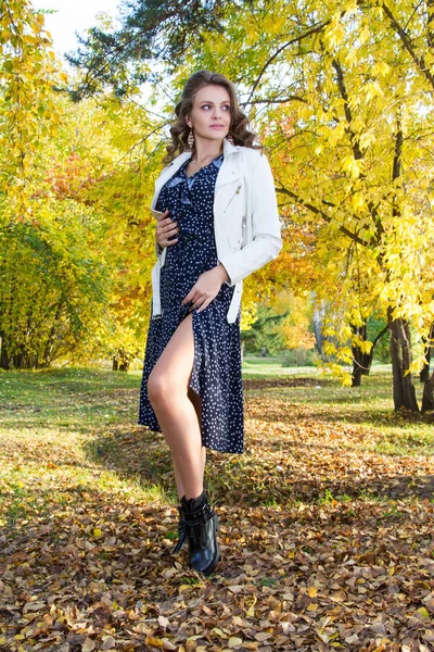 Beautiful Young Girl Walks Autumn Forest — Stock Photo, Image