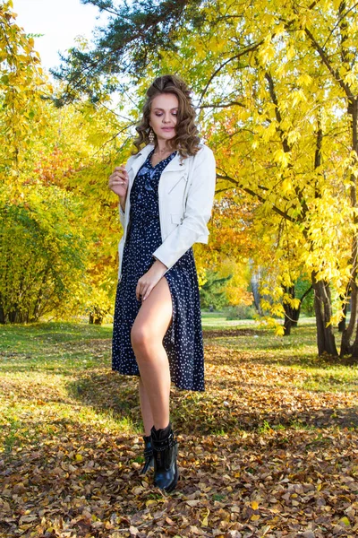 Schönes Junges Mädchen Spaziert Herbstlichen Wald — Stockfoto