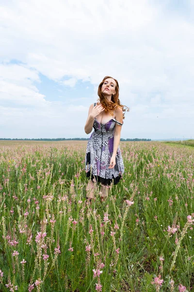 Mladá Zrzavá Dívka Poli Mezi Divokými Květy — Stock fotografie