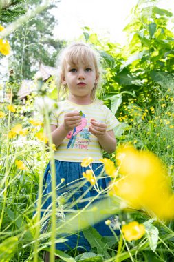 Küçük kız kır çiçeklerinin arasında yürüyor. Dünya 'nın bilgisi.