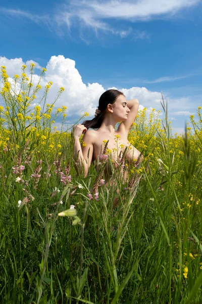Nacktes Junges Mädchen Auf Einem Feld Inmitten Von Wildblumen — Stockfoto