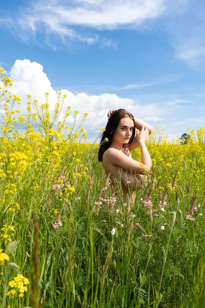 Nahá Mladá Dívka Poli Mezi Divokými Květy — Stock fotografie