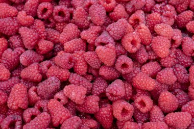 Seçilmiş olgun ve sulu ahududu hasadı.