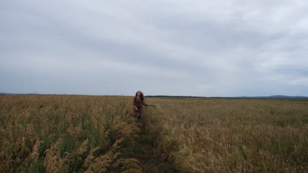 Junges Mädchen Auf Dem Feld — Stockvideo