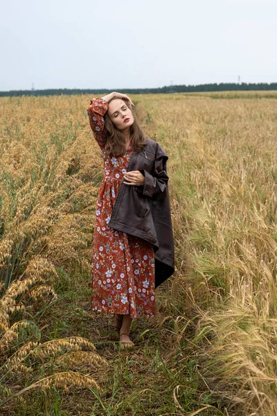 Genç kız tarlada olgunlaşmış arpa kulaklarının arasında