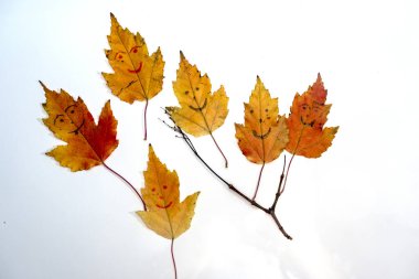Sarı akçaağaç yaprakları ve üzerlerinde duygu simgeleri var.