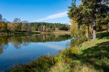 Orman gölü kıyıları boyunca sararmış ağaçlarla kaplı.