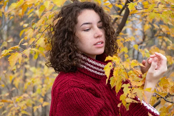 Dziewczyna Ciepłym Swetrze Jesiennym Parku — Zdjęcie stockowe