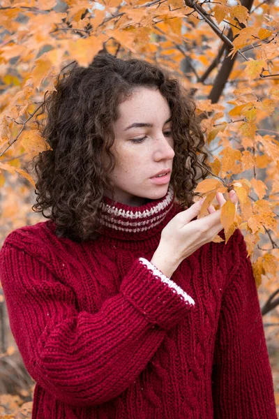 Girl Warm Sweater Autumn Park — Stock Photo, Image
