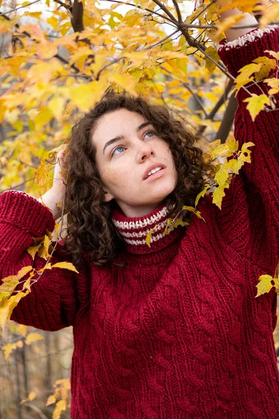 Chica Suéter Caliente Parque Otoño — Foto de Stock