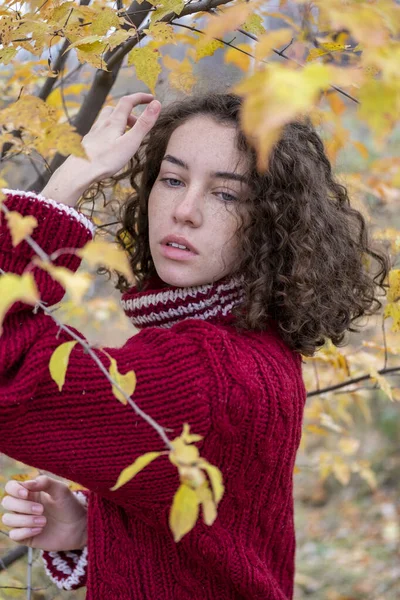 Girl Warm Sweater Autumn Park — Stock Photo, Image