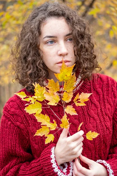 Girl Warm Sweater Autumn Forest — Stock Photo, Image