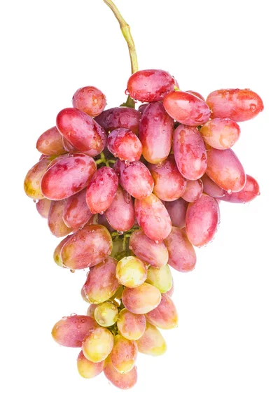 粉红葡萄 白色背景隔离 — 图库照片