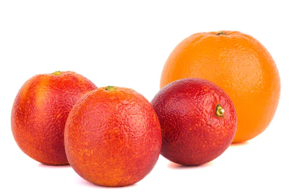 Sinaasappels Van Verschillende Rassen Geïsoleerd Witte Achtergrond Focus Punt Middelste — Stockfoto