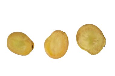 Beyaz arka planda üç geniş ya da bakla fasulyesi