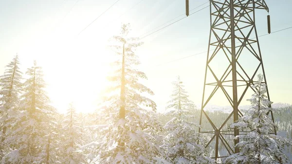 electric line at sunrise in snow covered forest