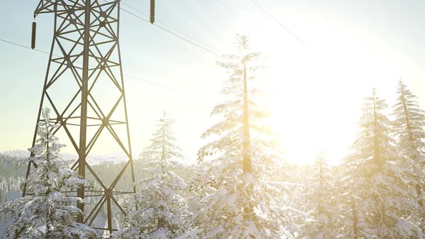 electric line at sunrise in snow covered forest