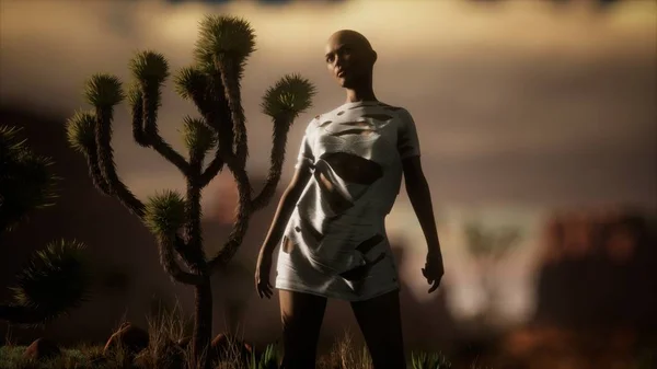 woman in torn shirt standing by cactus in desert at sunset