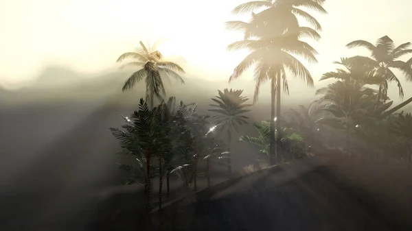 Coco palm trees tropical landscape with smoke and sun beam