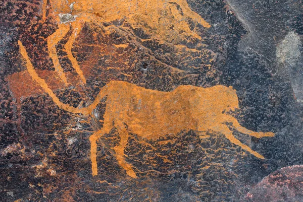 布须曼 San 一只猎豹的岩石绘画 南抵得上非洲 — 图库照片