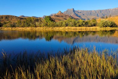 Yansıma su, Royal Natal National Park, Güney Afrika ile Drakensberg Dağları