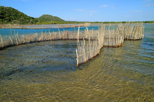 Traditionell Tsonga Fiskfälla Byggd Kosi Bay Mynning Tongaland Sydafrika — Stockfoto