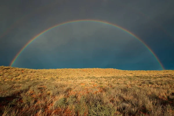 Landskap Med Färgglad Regnbåge Stormig Himmel Kalahari Öken Sydafrika — Stockfoto