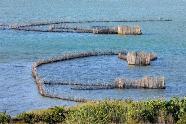 Armadilhas Tradicionais Para Peixes Tsonga Construídas Estuário Baía Kosi Tongaland — Fotografia de Stock