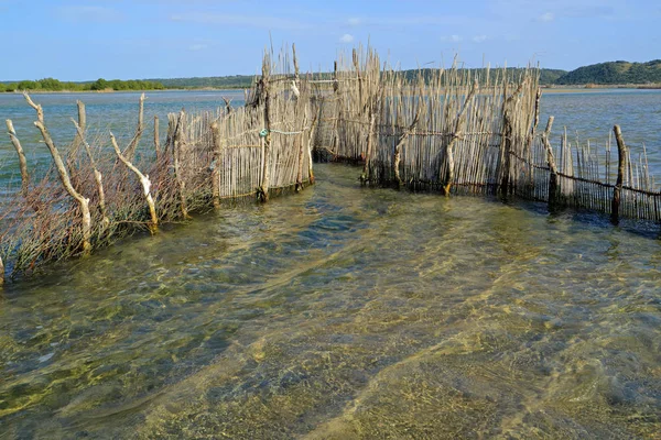 Armadilha Tradicional Para Peixes Tsonga Construída Estuário Baía Kosi Tongaland — Fotografia de Stock