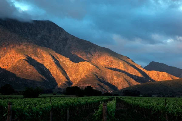Поздним Вечером Живописный Горный Пейзаж Виноградниками Западный Кейп Южная Африка — стоковое фото