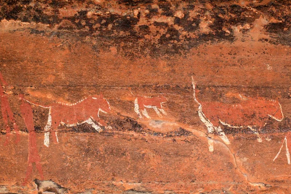 Pintura rupestre de Bushmen - África do Sul — Fotografia de Stock