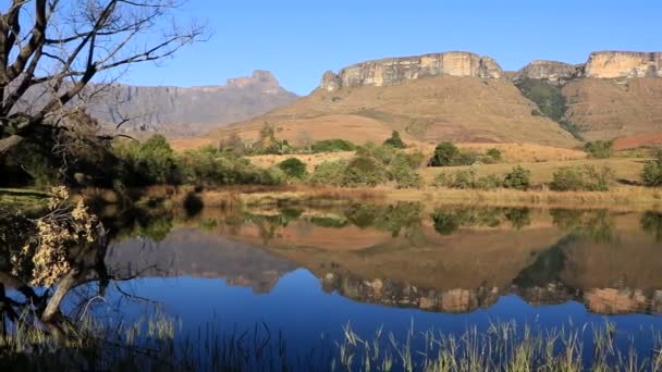 Drakensberg Bergen Met Symmetrische Reflectie Het Water Royal Natal National — Stockvideo