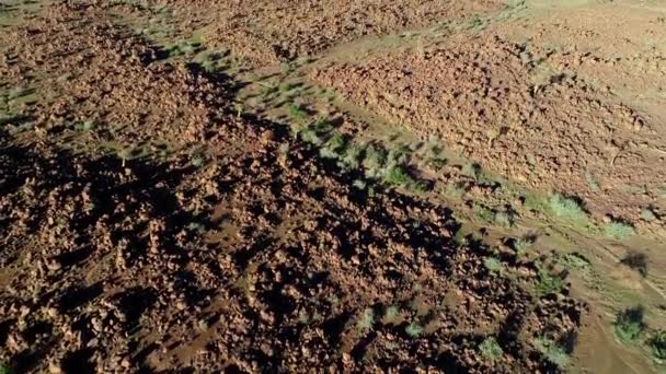 ナミビア南部の乾燥した岩の多い地域に乾燥した川底のある空中風景 — ストック動画