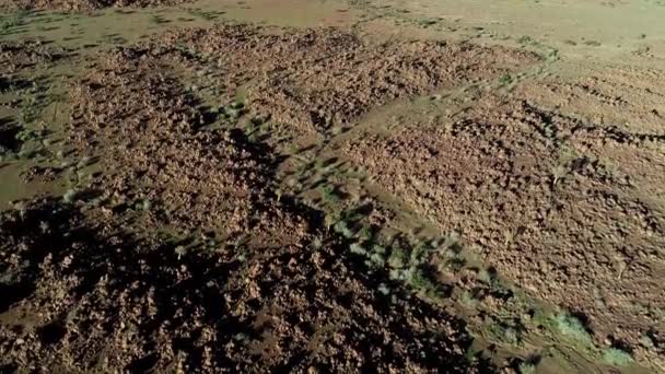 Aerial Landscape Dry Riverbed Arid Rocky Region Southern Namibia — Stock Video