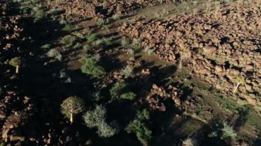 Güney Namibya 'nın kurak ve kayalık bölgesinde kurak bir nehir yatağı olan hava manzarası 