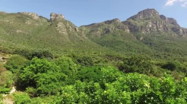 Kirstenbosch botanik bahçelerinin manzarası Güney Afrika 'daki Cape Town' daki Table Dağı 'nın arka planında.