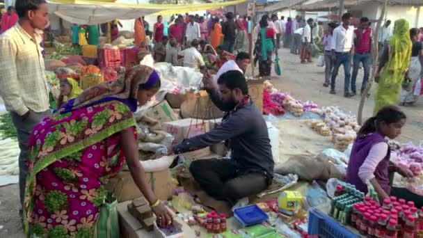 Mocha Kanha Madhya Pradesh India November 2015 Informal Indian Street — Stock Video
