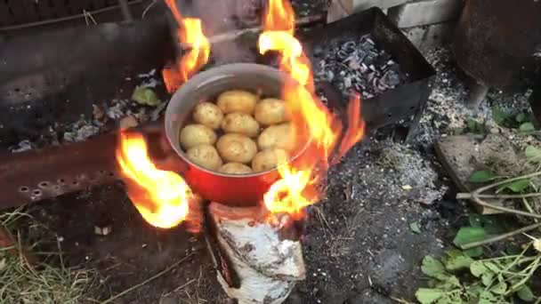 Főzés Tűz Burgonya — Stock videók