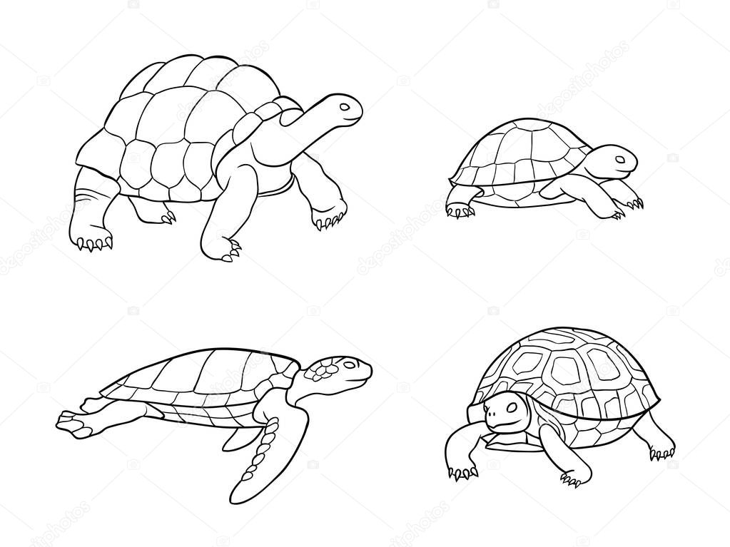 Set of tortoise and turtle in outlines - vector illustration. EPS8