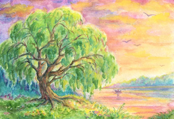 Willow Tree Water Sunset Sunrise Landscape Painting Gouache Watercolor Technique — 图库照片